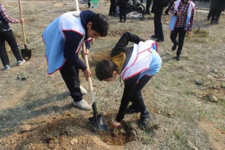 غرس 200 اصله نهال توسط پادیاران جمعیت مبارزه با استعمال دخانیات در پارک پردیسان