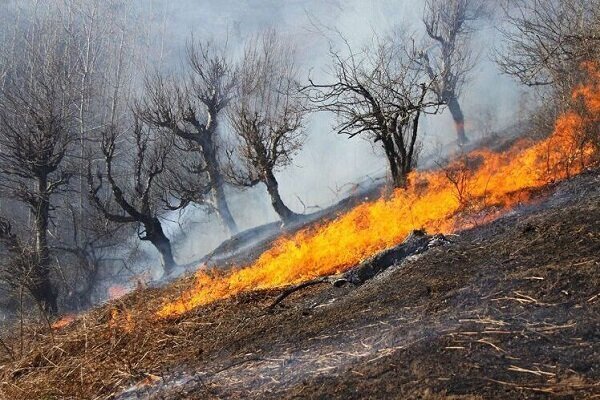 مهار آتش‌سوزی های جنگلی در غرب و جنوب غرب کشور - خبرگزاری هانسی | اخبار ایران و جهان