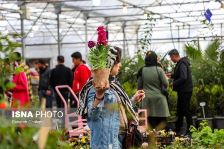 بهره برداری از بازار گل آسمان با ۱۰۰ غرفه تا دو ماه آینده