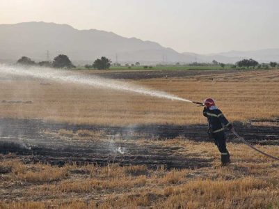 معرفی ۷۰ متخلف آتش زدن کاه و کلش به مراجع قضایی در مازندران