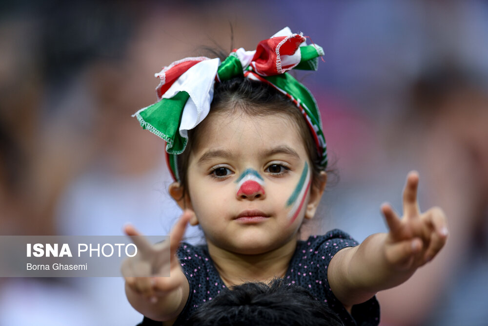 لزوم همکاری با دولت - هانسی