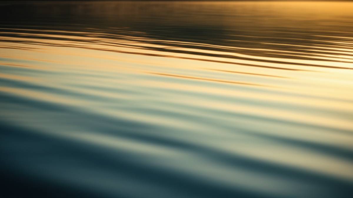 خلاصه کتاب ذهن آگاهی اثر شاماش آلیدینا | درس های کلیدی و کاربردی